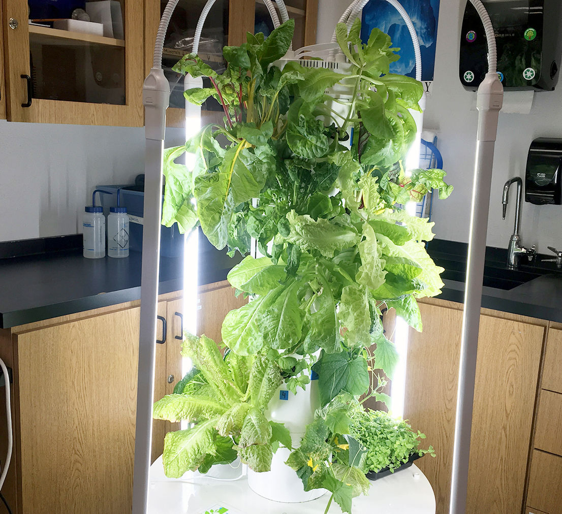 Zurcher’s Aeroponic Tower Garden